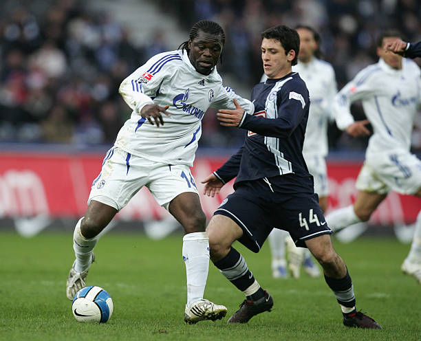 他也能凭借 他也能凭借