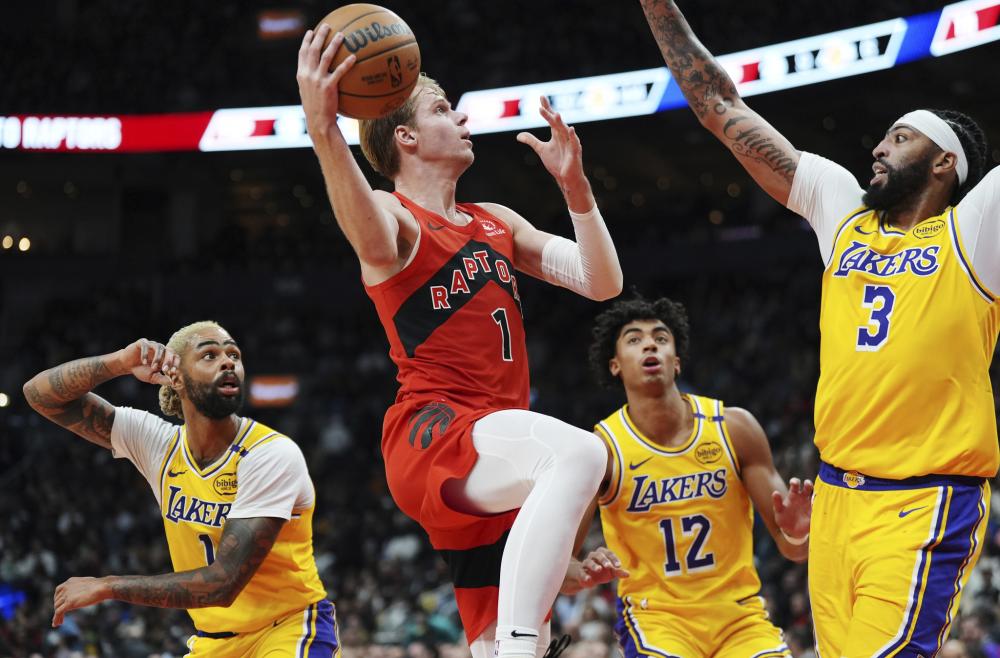 每年12月 每年12月